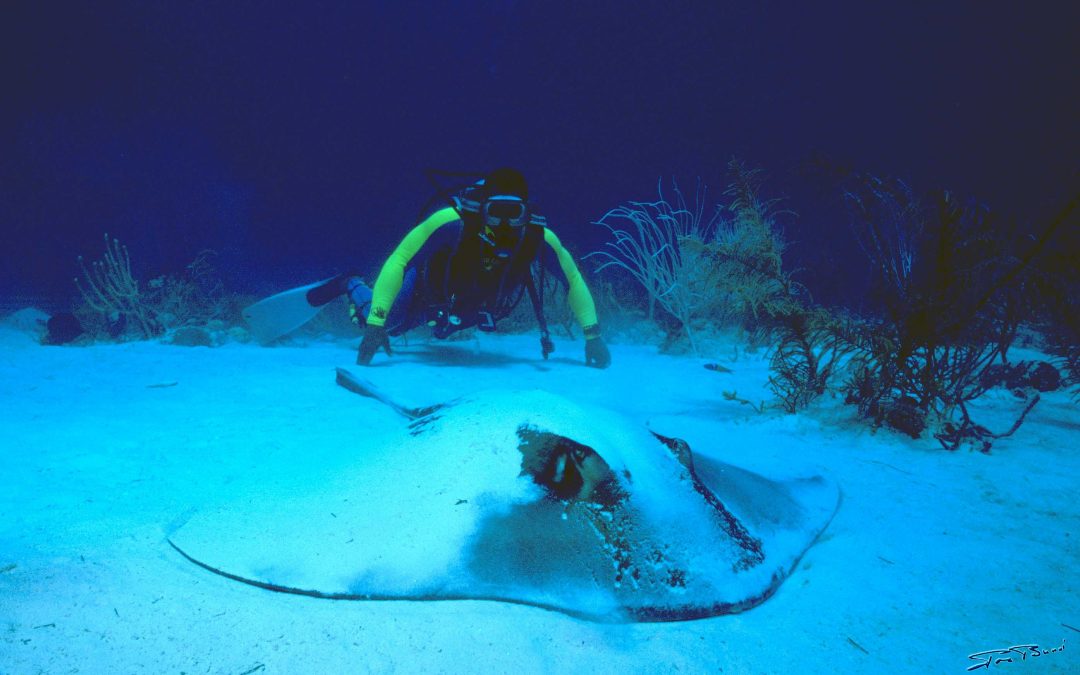 Cuba (Caraïbes)